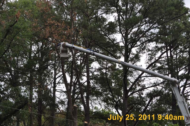 Entergy 095